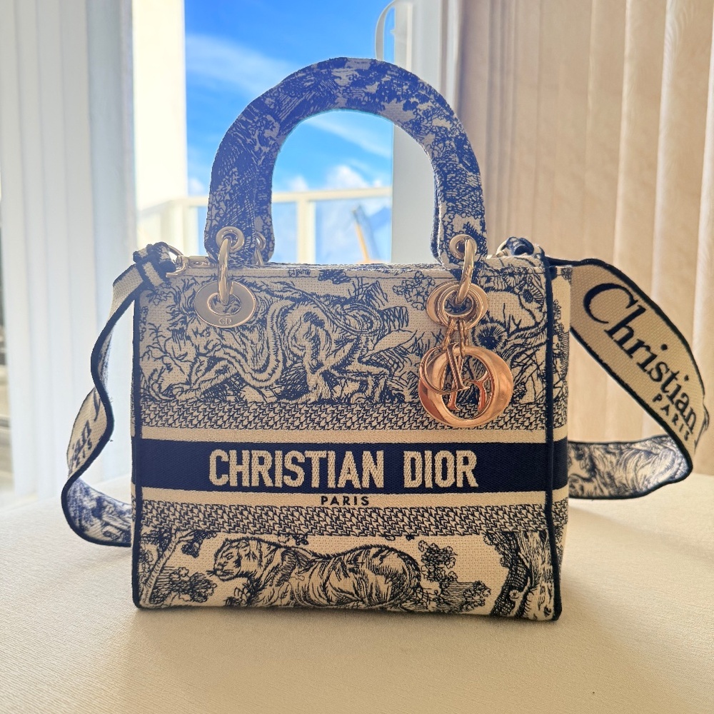 Christian Dior Medium Lady D-Lite Bag Embroidered Canvas